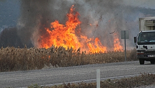 Beyşehir Gölü kenarında sazlık yangını 