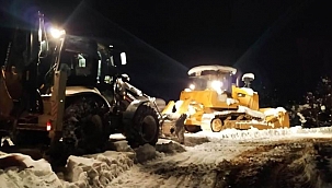 Beytüşşebap'ta kar hayatı felç etti 