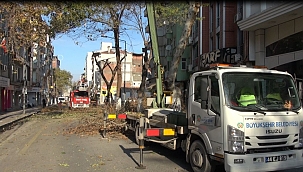 Cadde ve sokaklarda bakım çalışmaları 
