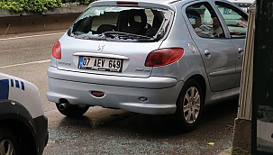 Çılgına dönen kadın ortalığı birbirine kattı