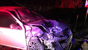 Domuz kazaya sebep oldu: 2 yaralı