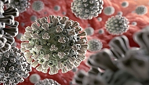 DSÖ'den üye ülkelere toplantı çağrısı