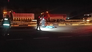 Düşen plaka sayesinde yakalandı!