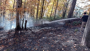Düzce'de orman yangını söndürüldü