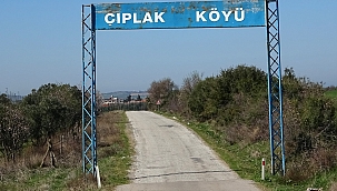 Eniştesini demir çubukla öldürdü 