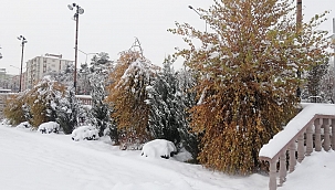 Erzurum kar'a teslim 