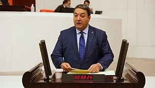 Fendoğlu'ndan Türk Dili'nin önemine vurgu 