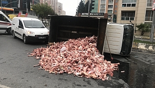 Freni tutmayan devrildi