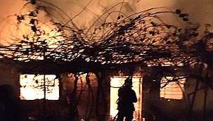 Hayvan damı cayır cayır yandı