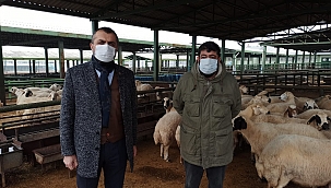 Hayvan yetiştiricilerine maske dağıtıldı 
