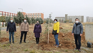 İletişimciler de fidan kampanyasına katıldı 