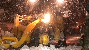 Japonya şiddetli kara teslim oldu 