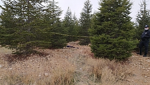 Kampüsünde erkek cesedi bulundu