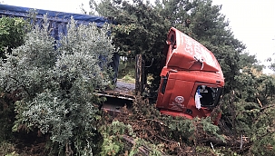 Kuşadası'nda tır tarlaya uçtu 