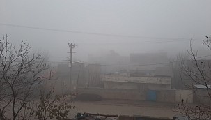 Mazıdağı'nda sis hayatı olumsuz etti