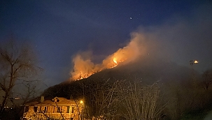 Ordu'da ormanı yangını 