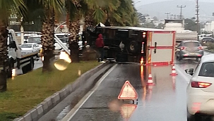 Refüje çıktı aydınlatma direğini devirdi