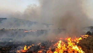 Otları yakarken yanan kadın öldü 
