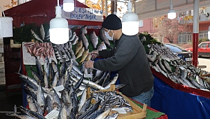 Pandemide balığa talep arttı!
