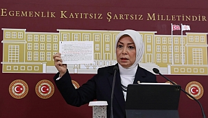 "Şehit yakınlarımızdan özür dilemelidir"