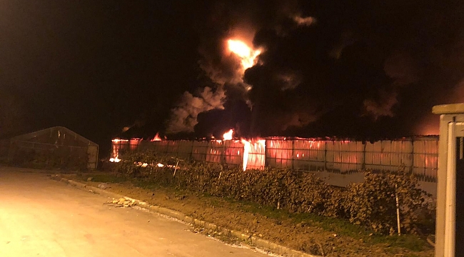 Strafor fabrikası alev alev yandı