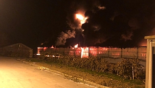Strafor fabrikası alev alev yandı