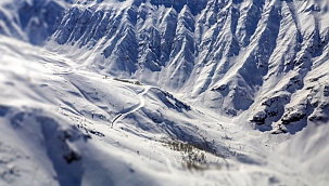 Tahran'da çığ: 8 ölü 