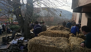 Yangın 3 hayvan telef oldu