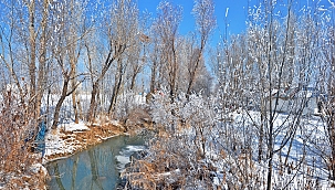 Yüksekova'da ağaçlar dondu 