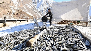 12 ton alabalık telef oldu 