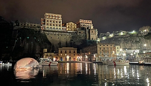 70 ton ağırlığında ölü balina bulundu