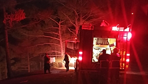 Adana'da ormanlık alanda yangın 