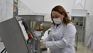 Ağrılar kayısı çekirdeği ile dindiriliyor 