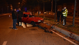 Ahırdan kaçan at kazada telef oldu 