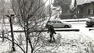 Almanya'da kar hayatı felç etti 