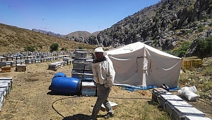 Arıcılık ve İpekböcekçiliğine destek 