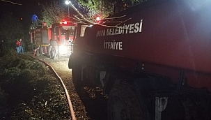 Artvin'in Kemalpaşa ilçesinde yangın 