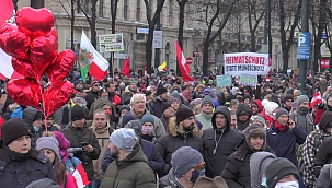 Avusturya'da korona protestosu