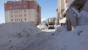 Bitlis'te kardan dağlar oluştu 