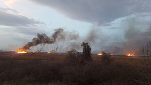 Bursa'daki sazlık yangını sürüyor