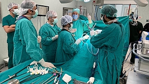 Çevrim içi laparoskopik böbrek tümörü kursu