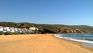 Cezayir sahilinde 7 ceset bulundu 