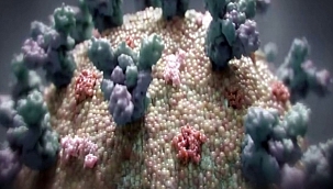 Covid-19'un yeni türü tespit edildi 