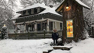 Doğanşehir'e ağaç kütüphane yapılacak 