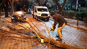 Fırtına ağaçları devirdi çatıları uçurdu