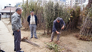 Fiyatlar yükseldi fidan satışları arttı!