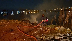 Göl kenarındaki kavaklık alan yandı 