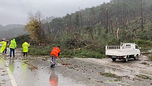 Hortum ormanı savaş alanına çevirdi 