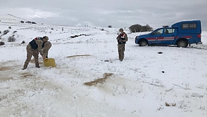 Jandarma yaban hayvanlarını unutmadı