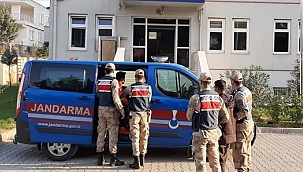 Kaçak göçmenler yakalandı!